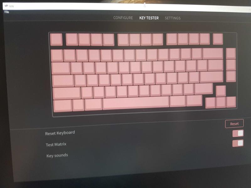 VIA Detecting Keys